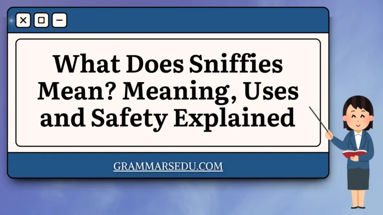 What Does Sniffies Mean Meaning, Uses and Safety Explained